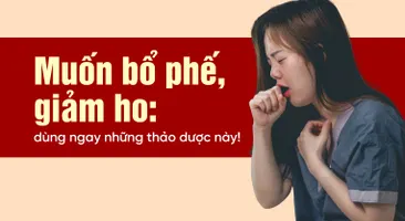 Muốn bổ phế, giảm ho: dùng ngay những thảo dược này!