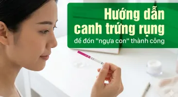 Hướng dẫn canh trứng rụng để đón "ngựa con" thành công