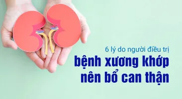 6 lý do người điều trị bệnh xương khớp nên bổ can thận