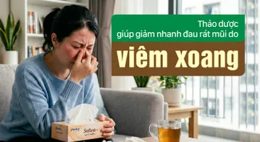 Thảo dược giúp giảm nhanh đau rát mũi do viêm xoang