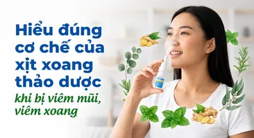 Hiểu đúng cơ chế của xịt xoang thảo dược khi bị viêm mũi, viêm xoang