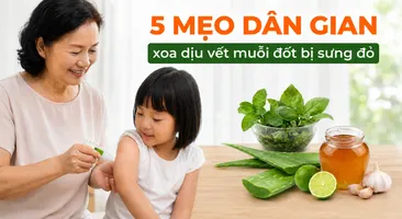 5 mẹo dân gian xoa dịu vết muỗi đốt bị sưng đỏ
