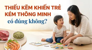 Thiếu kẽm khiến trẻ kém thông minh: có đúng không?