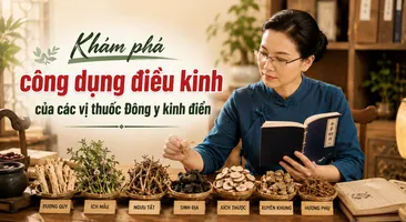 Khám phá công dụng điều kinh của các vị thuốc Đông y kinh điển