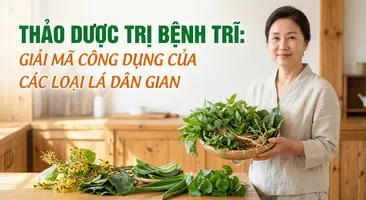 Thảo dược trị bệnh trĩ: giải mã công dụng của các loại lá dân gian