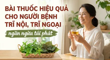 Bài thuốc hiệu quả cho người bệnh trĩ nội, trĩ ngoại, ngăn ngừa tái phát