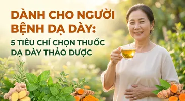 Dành cho người bệnh dạ dày: 5 tiêu chí chọn thuốc dạ dày thảo dược
