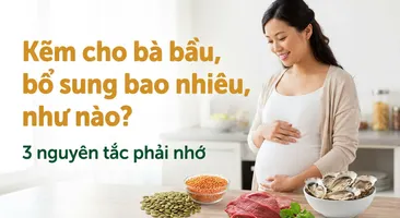 Kẽm cho bà bầu, bổ sung bao nhiêu, như nào? 3 nguyên tắc phải nhớ