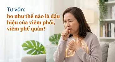 Tư vấn: ho như thế nào là dấu hiệu của viêm phổi, viêm phế quản?