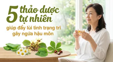 5 thảo dược tự nhiên giúp đẩy lùi tình trạng trĩ gây ngứa hậu môn