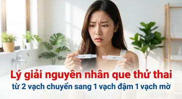 Lý giải nguyên nhân que thử thai từ 2 vạch chuyển sang 1 vạch đậm 1 vạch mờ