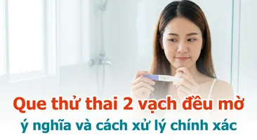 Que thử thai 2 vạch đều mờ: ý nghĩa và cách xử lý chính xác