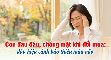 Cơn đau đầu, chóng mặt khi đổi mùa: dấu hiệu cảnh báo thiếu máu não