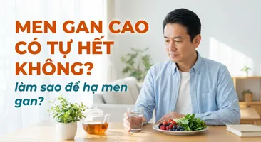 Men gan cao có tự hết không? Làm sao để hạ men gan?
