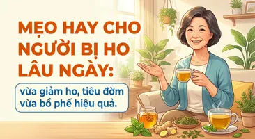 Mẹo hay cho người bị ho lâu ngày: vừa giảm ho, tiêu đờm vừa bổ phế hiệu quả