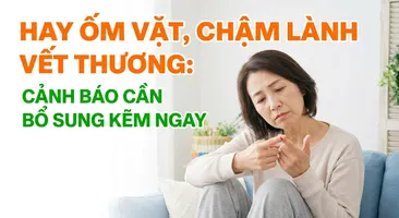 Hay ốm vặt, chậm lành vết thương: cảnh báo cần bổ sung kẽm ngay