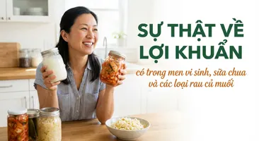 Sự thật về lợi khuẩn có trong men vi sinh, sữa chua và các loại rau củ muối