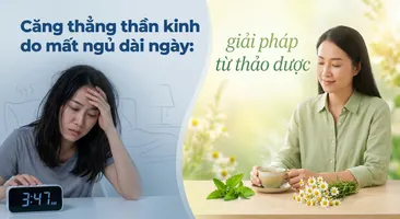 Căng thẳng thần kinh do mất ngủ dài ngày: giải pháp từ thảo dược