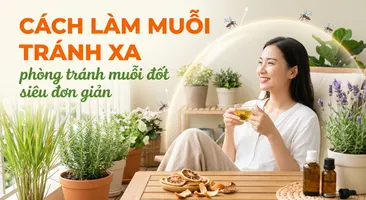 Cách làm muỗi tránh xa, phòng tránh muỗi đốt siêu đơn giản