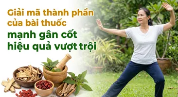 Giải mã thành phần của bài thuốc mạnh gân cốt hiệu quả vượt trội