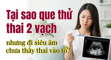 Tại sao que thử thai 2 vạch nhưng đi siêu âm chưa thấy thai vào tổ?