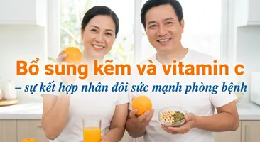 Bổ sung kẽm và vitamin c – sự kết hợp nhân đôi sức mạnh phòng bện