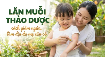 Lăn muỗi thảo dược - cách giảm ngứa, làm dịu da mẹ cần có