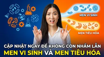 Cập nhật ngay để không còn nhầm lẫn men vi sinh và men tiêu hóa