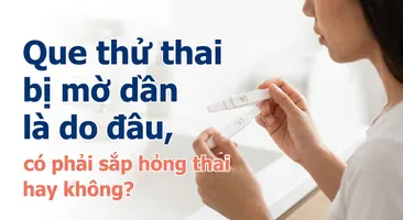 Que thử thai bị mờ dần là do đâu, có phải sắp hỏng thai hay không?
