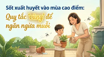 Sốt xuất huyết vào mùa cao điểm: Quy tắc " vàng " để ngăn ngừa muỗi