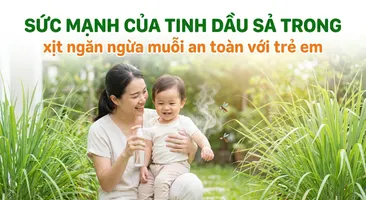 Sức mạnh của tinh dầu sả trong xịt ngăn ngừa muỗi an toàn với trẻ em