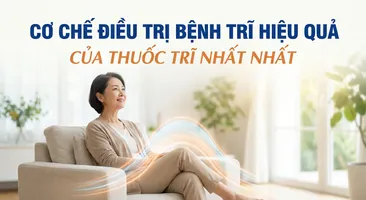 Cơ chế điều trị bệnh trĩ hiệu quả của Thuốc Trĩ Nhất Nhất
