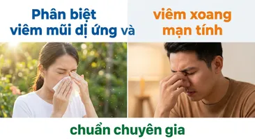 Phân biệt viêm mũi dị ứng và viêm xoang mạn tính chuẩn chuyên gia