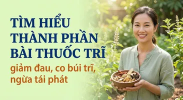 Tìm hiểu thành phần bài thuốc trĩ giảm đau, co búi trĩ, ngừa tái phát