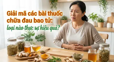 Giải mã các bài thuốc chữa đau bao tử: loại nào thực sự hiệu quả?