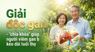 Giải độc gan - "chìa khóa" giúp người viêm gan b kéo dài tuổi thọ
