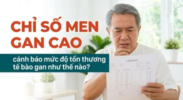Chỉ số men gan cao cảnh báo mức độ tổn thương tế bào gan như thế nào?
