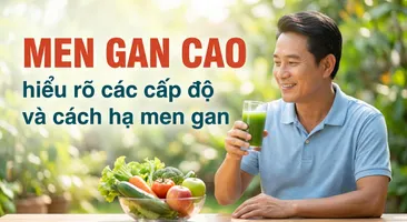 Men gan cao: hiểu rõ các cấp độ và cách hạ men gan