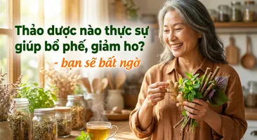 Thảo dược nào thực sự giúp bổ phế, giảm ho? - bạn sẽ bất ngờ
