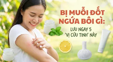 Bị muỗi đốt ngứa bôi gì: lưu ngay 5 "vị cứu tinh" này