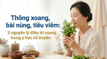 Thông xoang, bài nùng, tiêu viêm: 3 nguyên lý điều trị xoang trong y học cổ truyền