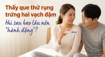 Thấy que thử rụng trứng hai vạch đậm thì sau bao lâu nên "hành động"?