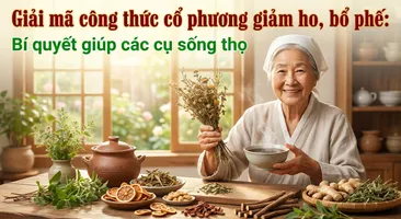 Giải mã công thức cổ phương giảm ho, bổ phế: bí quyết giúp các cụ sống thọ