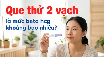 Que thử 2 vạch là mức beta hcg khoảng bao nhiêu?
