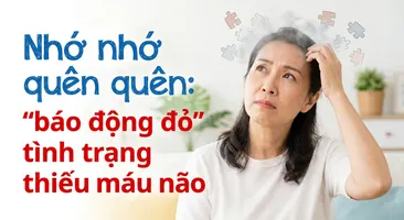 Nhớ nhớ quên quên: "báo động đỏ" tình trạng thiếu máu não