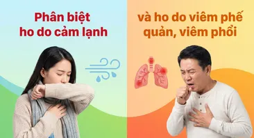 Phân biệt ho do cảm lạnh và ho do viêm phế quản, viêm phổi