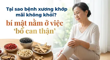 Tại sao bệnh xương khớp mãi không khỏi? bí mật nằm ở "bổ can thận"