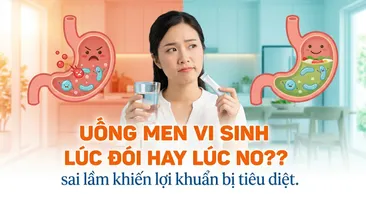 Uống men vi sinh lúc đói hay lúc no? sai lầm khiến lợi khuẩn bị tiêu diệt