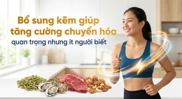 Bổ sung kẽm giúp tăng cường chuyển hóa: quan trọng nhưng ít người biết