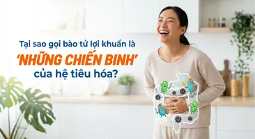 Tại sao gọi bào tử lợi khuẩn là "những chiến binh" của hệ tiêu hóa?